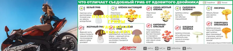 Купить наркотики цена Россошь МАРИХУАНА  Меф мяу мяу  ГАШИШ 